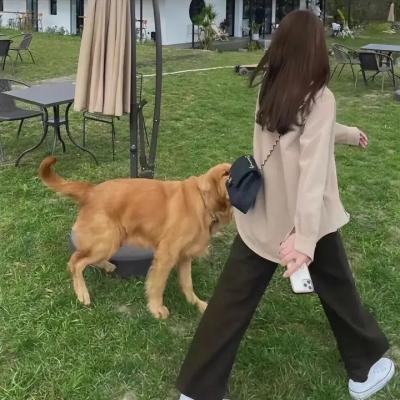 奇迹舞社