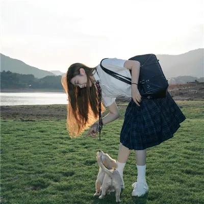 案中案